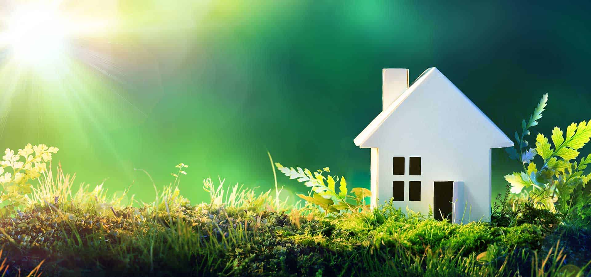 eco friendly ideas feature 1